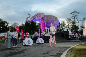 BIB: 
                            <button type="button" onclick="openModal(26529395)" class="btn btn-primary btn-sm float-right btn-popup" data-toggle="modal" data-target=".modal-high-quality">
                        <i class="fas fa-shopping-cart"></i> Add to Cart
                    </button>
                                            <button type="button" onclick="isThisMe(26529395, true)" class="btn btn-success btn-sm float-right btn-popup btn-isme hidden" data-toggle="tooltip" data-placement="bottom" title="นี่คือรูปของคุณใช่ไหม คลิกที่นี่เพื่อเอาเข้าอัลบั้ม">
                        <i class="fas fa-plus"></i> Add to album
                    </button>
                    <button type="button" onclick="isThisMe(26529395, false)" class="btn btn-warning btn-sm float-right btn-popup btn-isnotme hidden">
                        <i class="fas fa-ban"></i> Remove from album
                    </button>